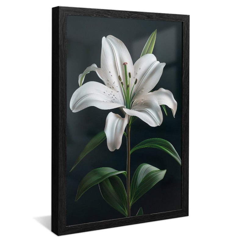 White Lily V1606 Canvas