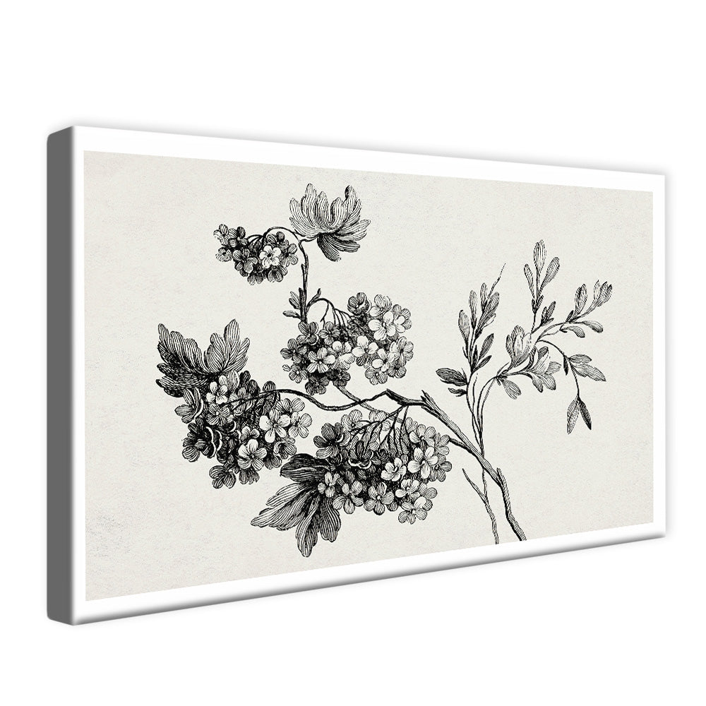 Black and White Floral Drawing V2502 Canvas