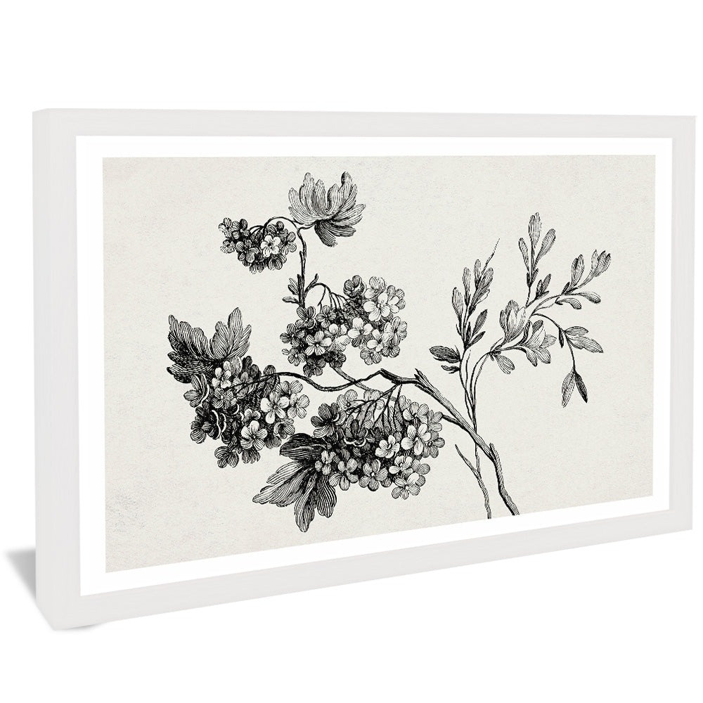 Black and White Floral Drawing V2502 Canvas