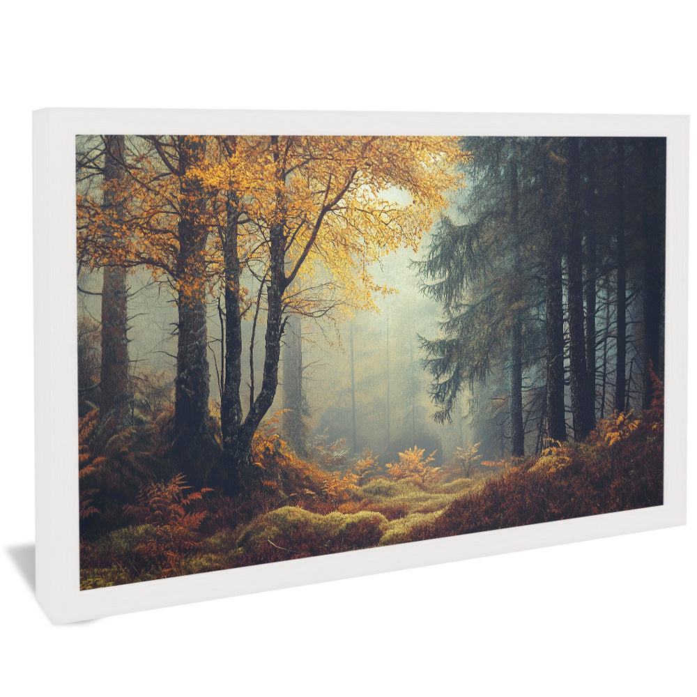 Forest and Trees Landscape V2507 Canvas