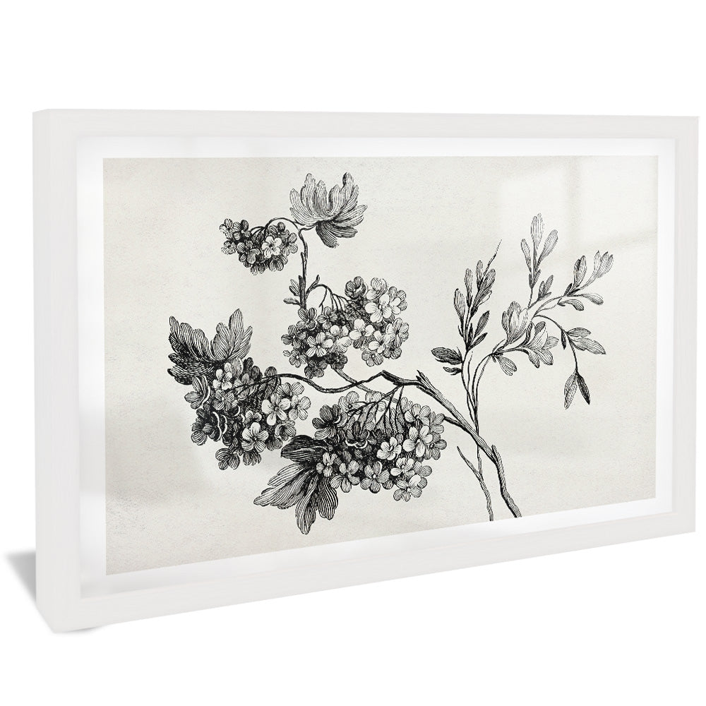 Black and White Floral Drawing V2502 Canvas