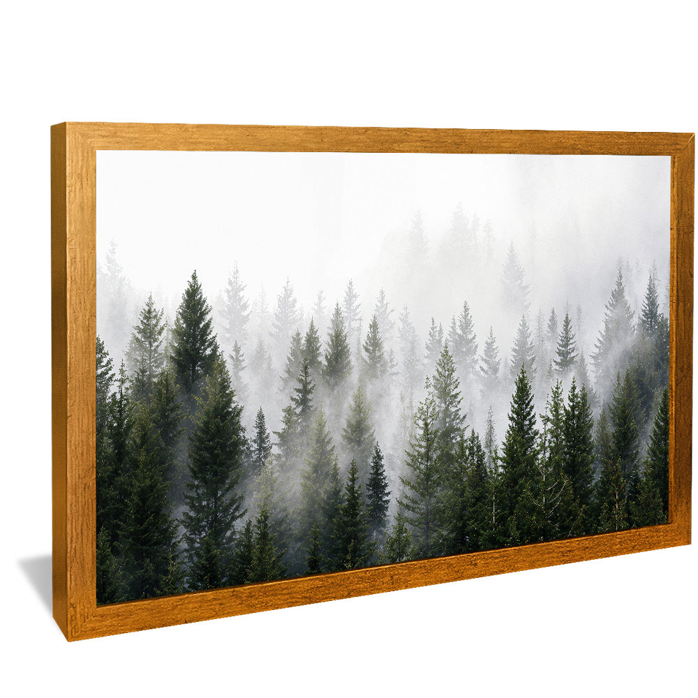Forest and Fog V2498 Canvas