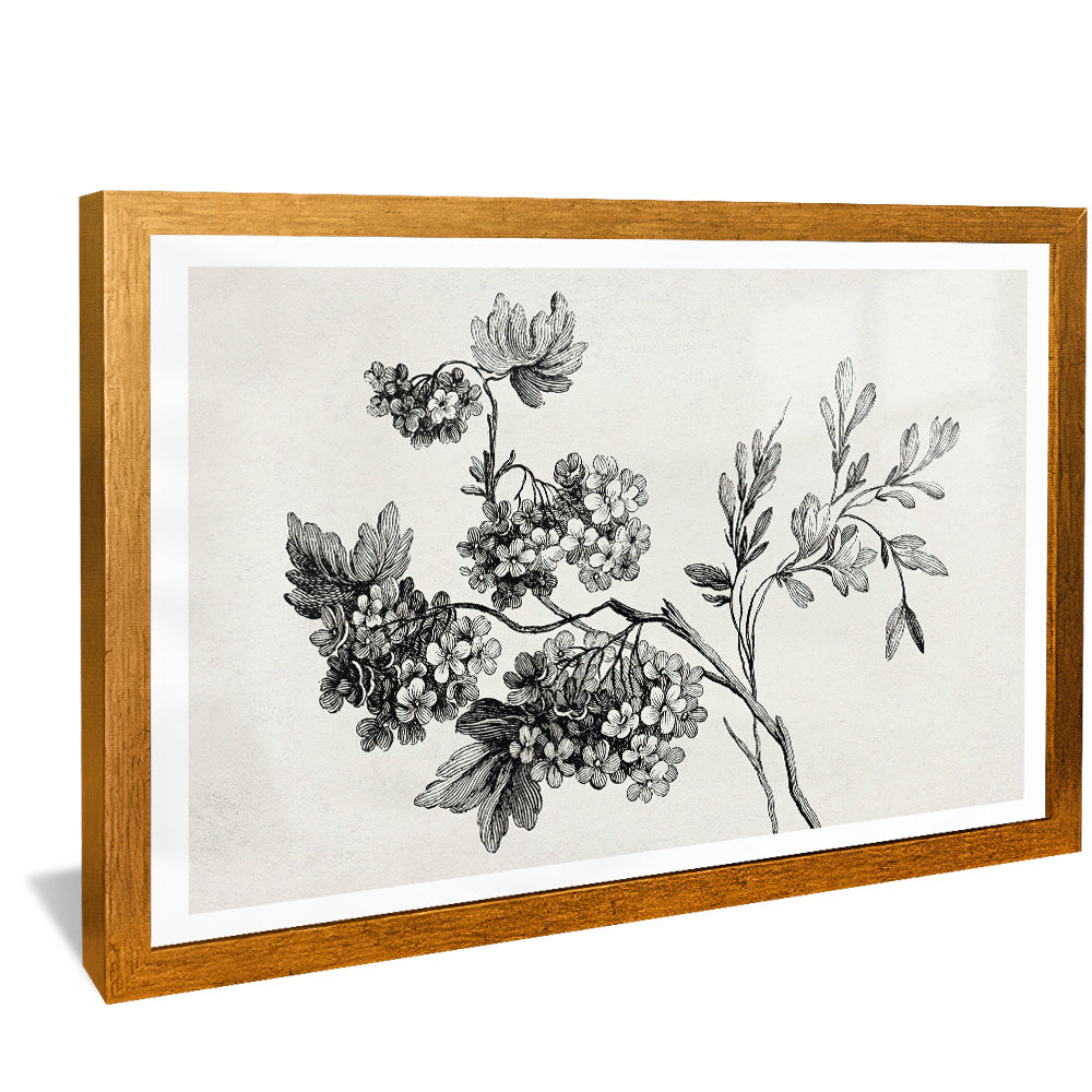 Black and White Floral Drawing V2502 Canvas