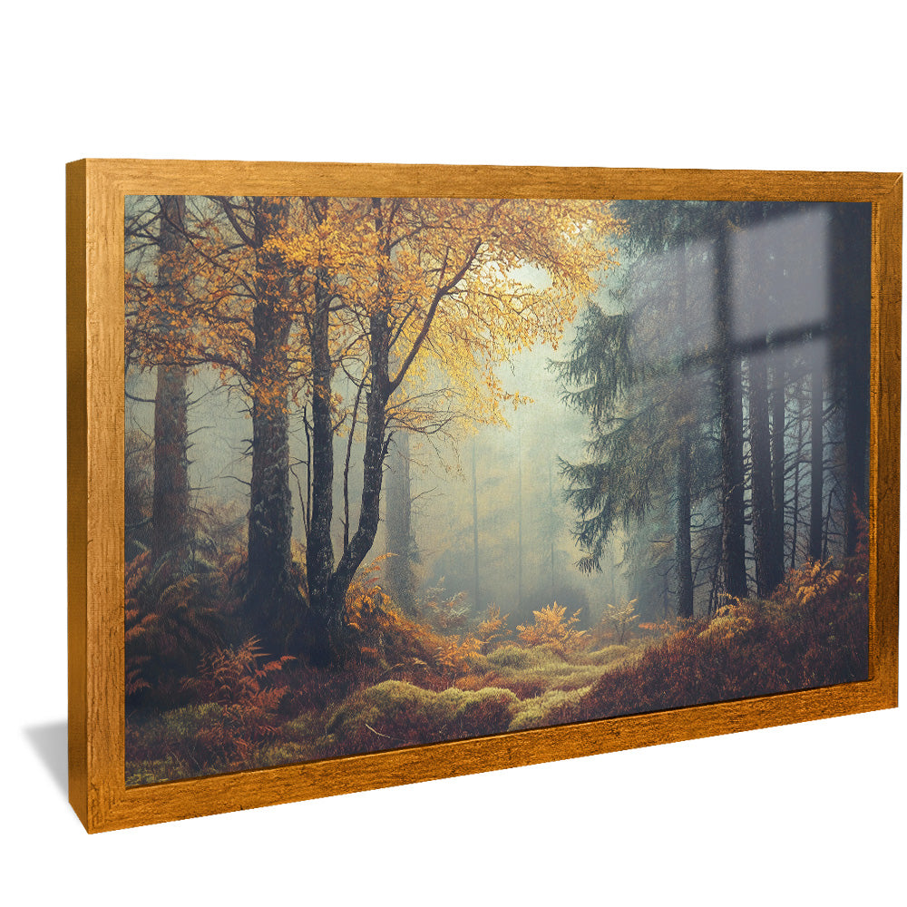 Forest and Trees Landscape V2507 Canvas