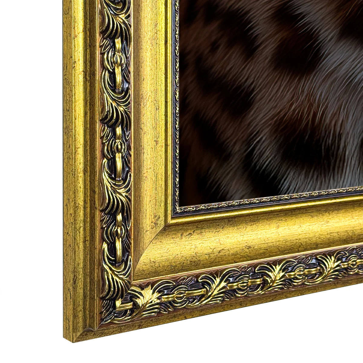Luxurious Feline Canvas
