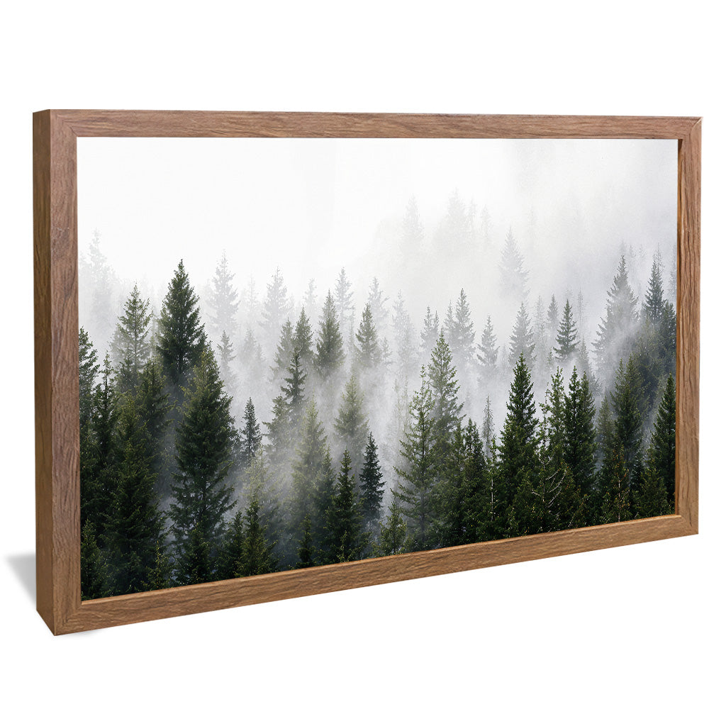 Forest and Fog V2498 Canvas