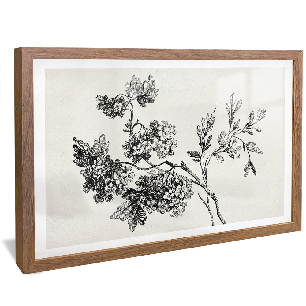 Black and White Floral Drawing V2502 Canvas