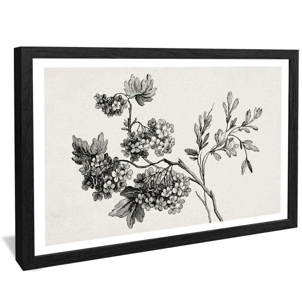 Black and White Floral Drawing V2502 Canvas