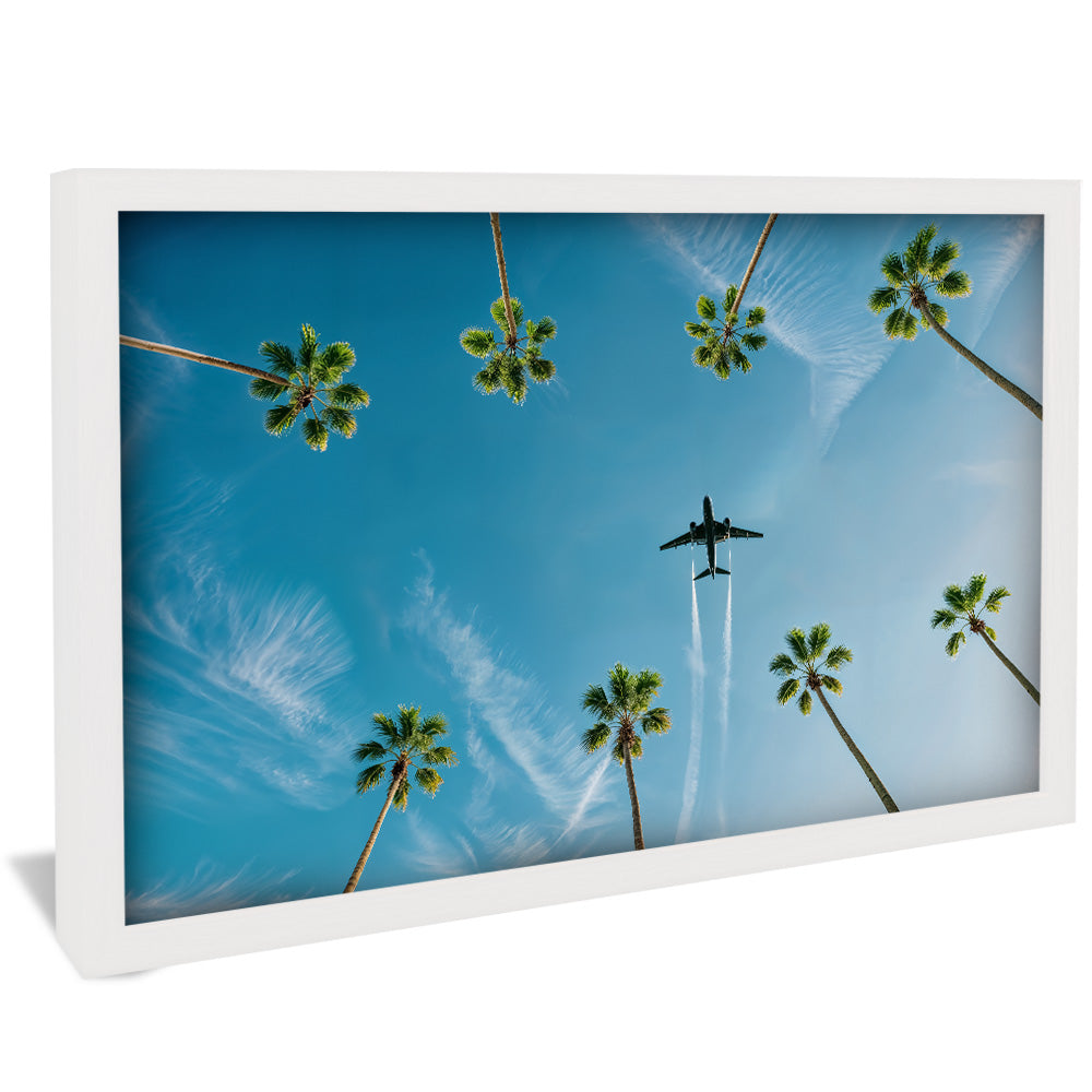 Above the Palms V2298 Canvas