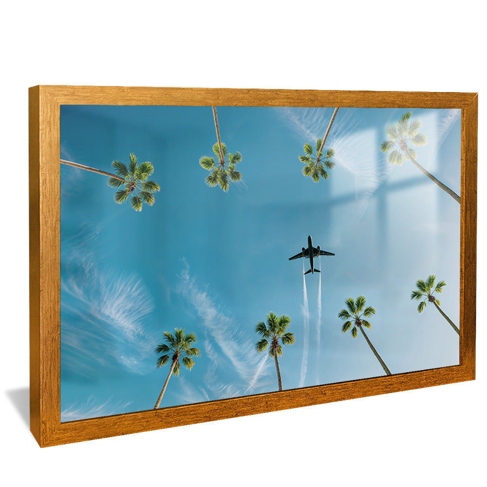 Above the Palms V2298 Canvas