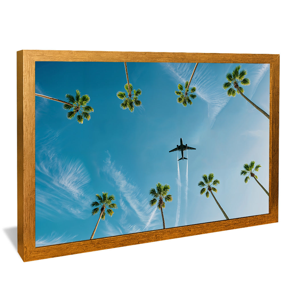 Above the Palms V2298 Canvas