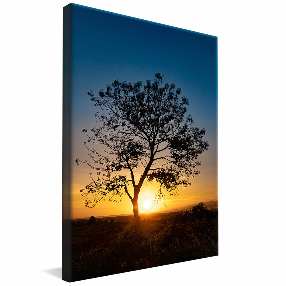 Tree at Sunset V2 V2346 Canvas