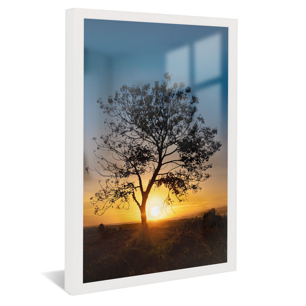 Tree at Sunset V2 V2346 Canvas