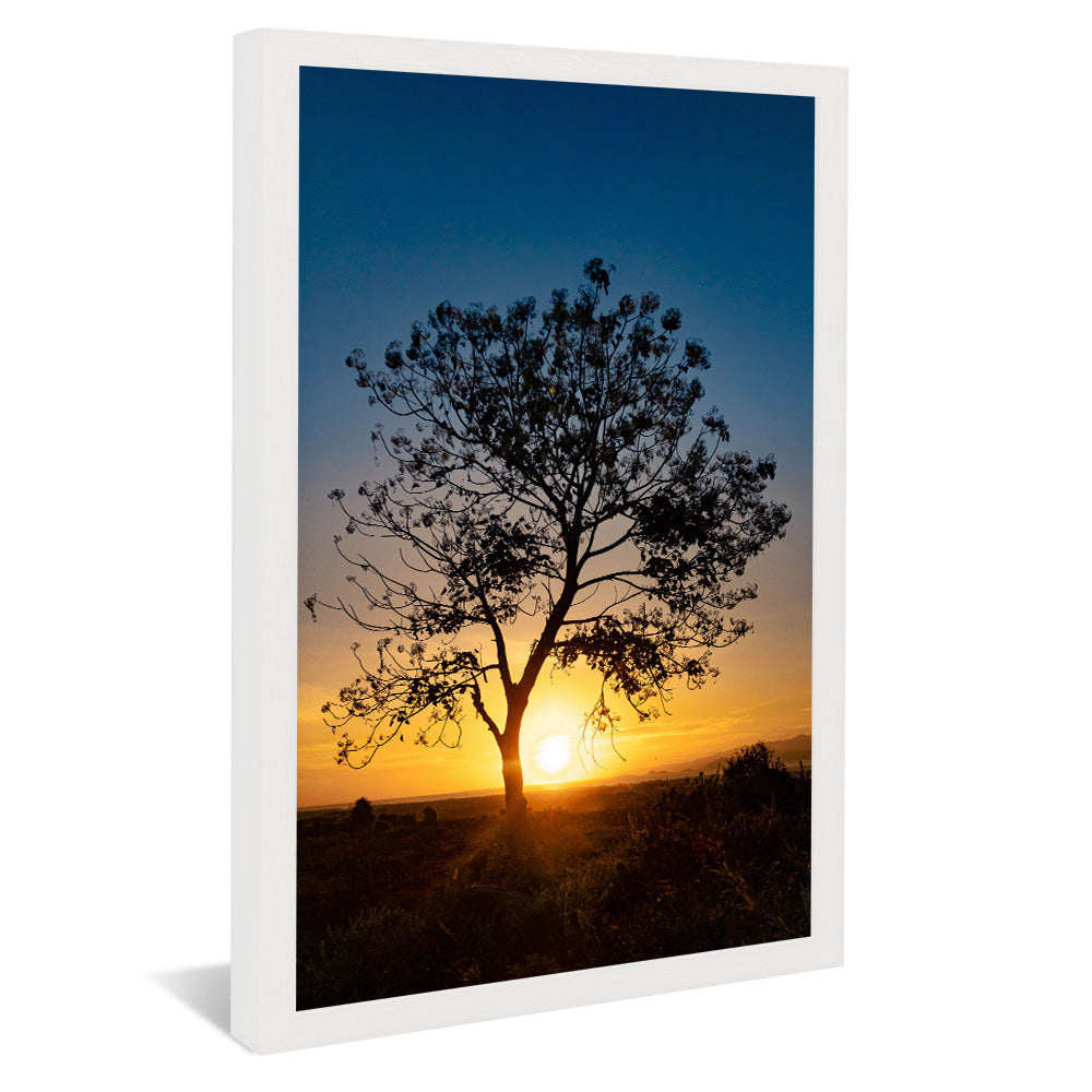 Tree at Sunset V2 V2346 Canvas