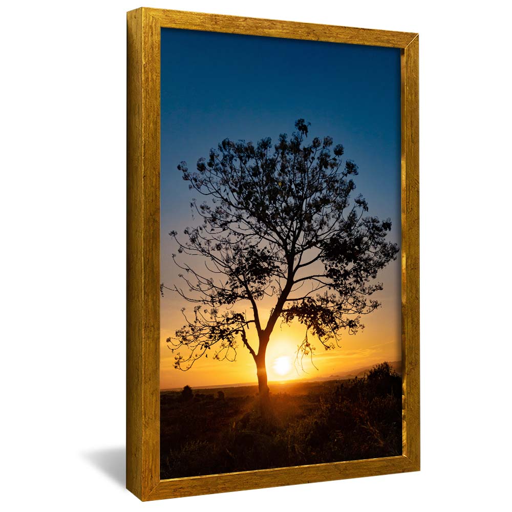 Tree at Sunset V2 V2346 Canvas