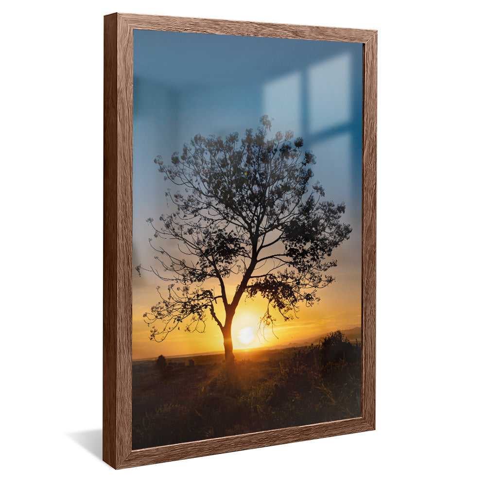 Tree at Sunset V2 V2346 Canvas