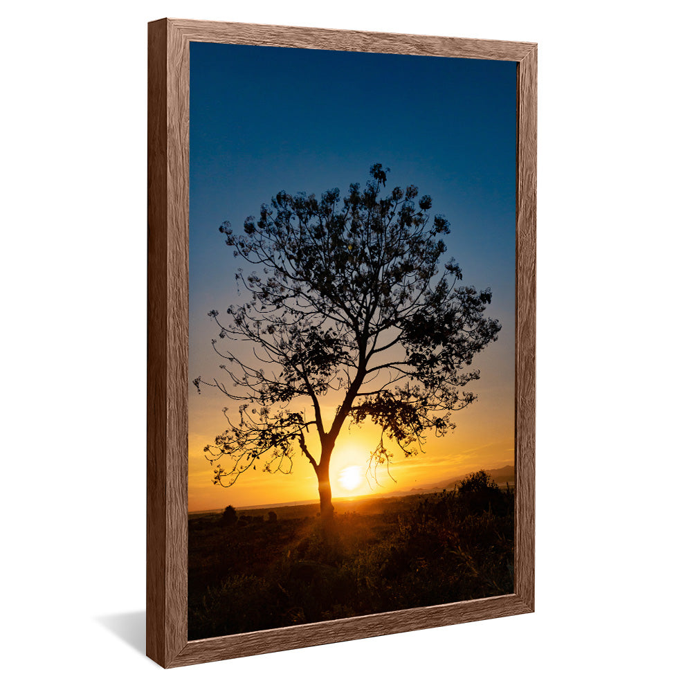 Tree at Sunset V2 V2346 Canvas