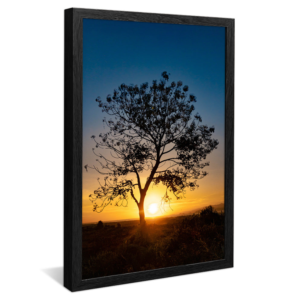 Tree at Sunset V2 V2346 Canvas
