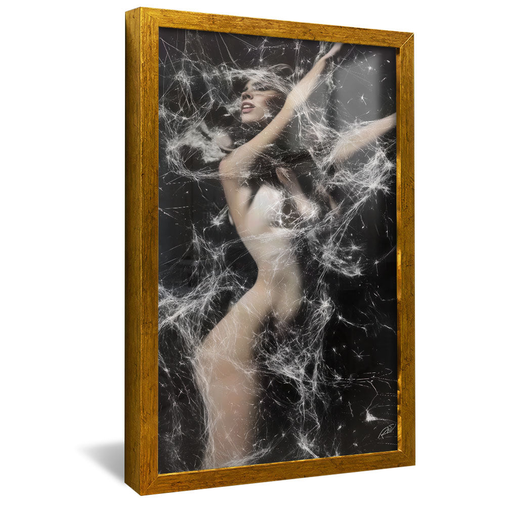 Decorative Canvas Abstract Woman V2164