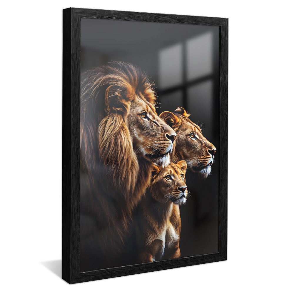 Lion Trio V2273 Canvas
